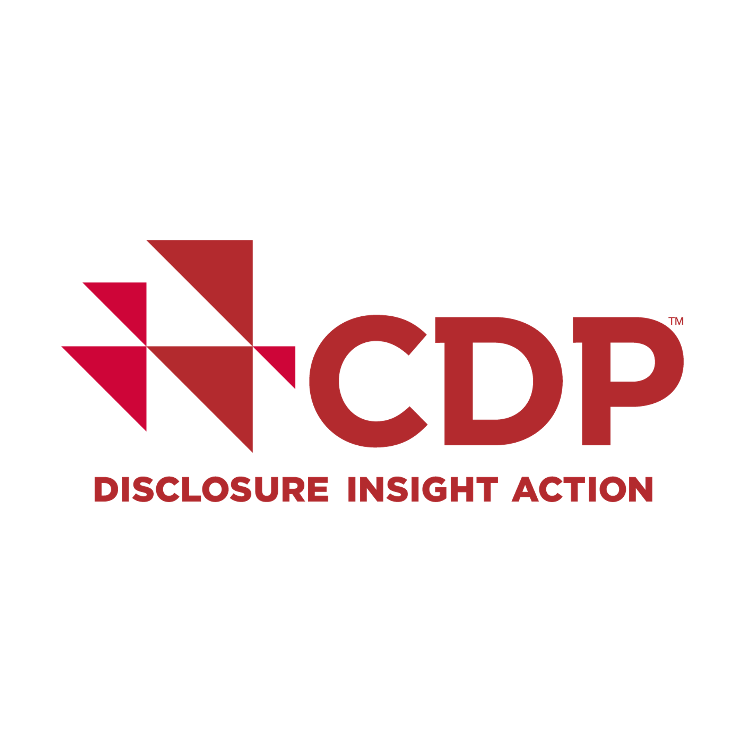 CDP – Climate Change – Management Level