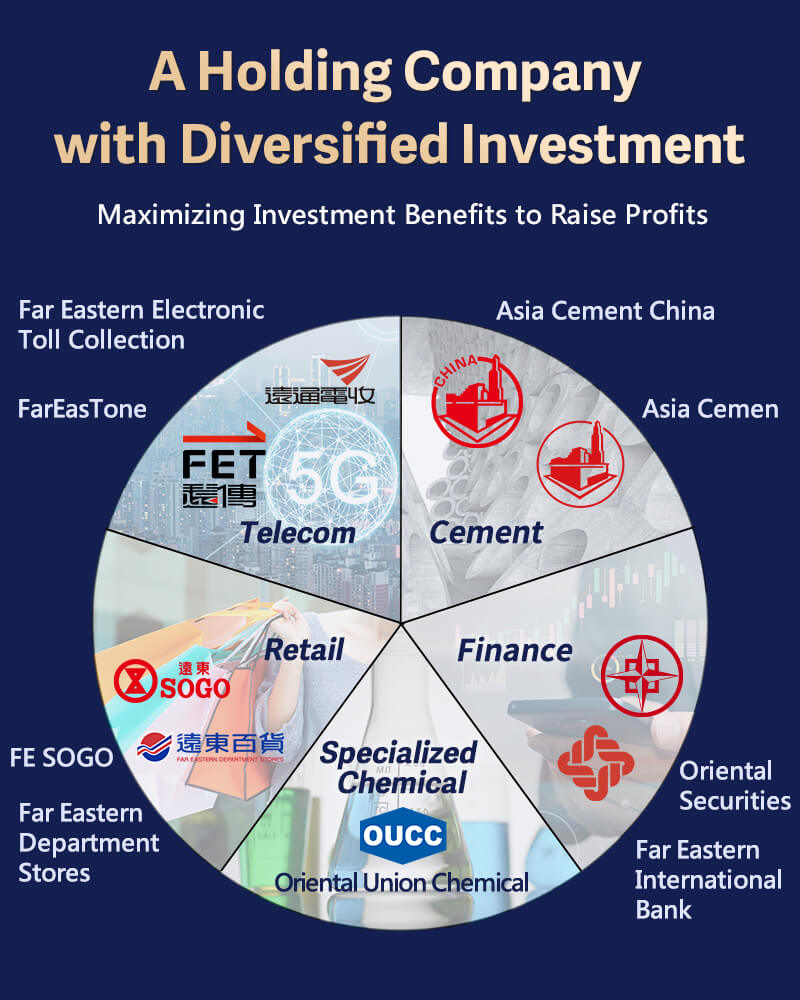 Holding Company with diversified Investments